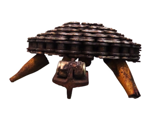 tartaruga in ferro riclato