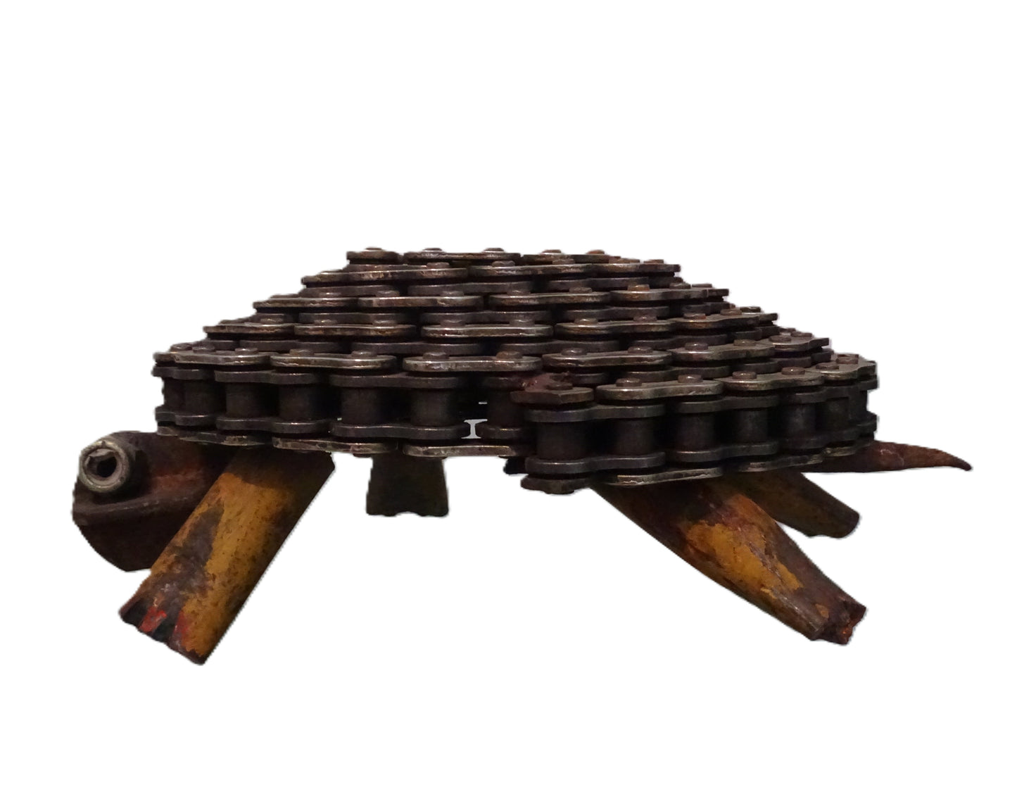 tartaruga in ferro riclato