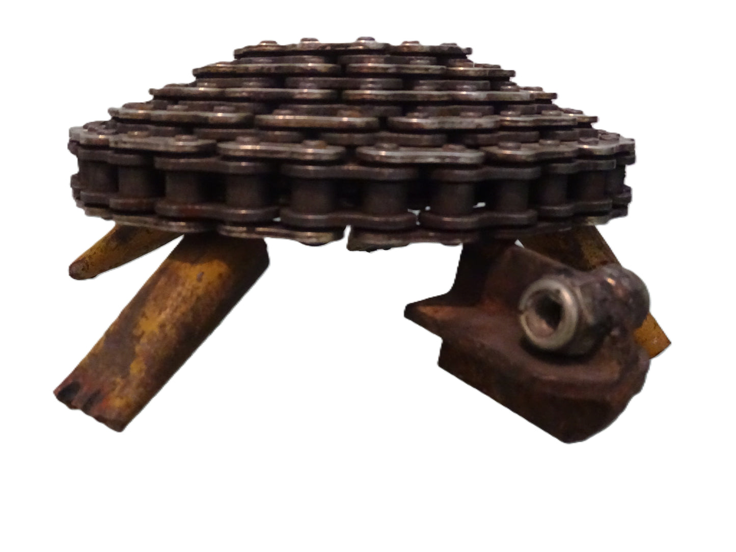 tartaruga in ferro riclato