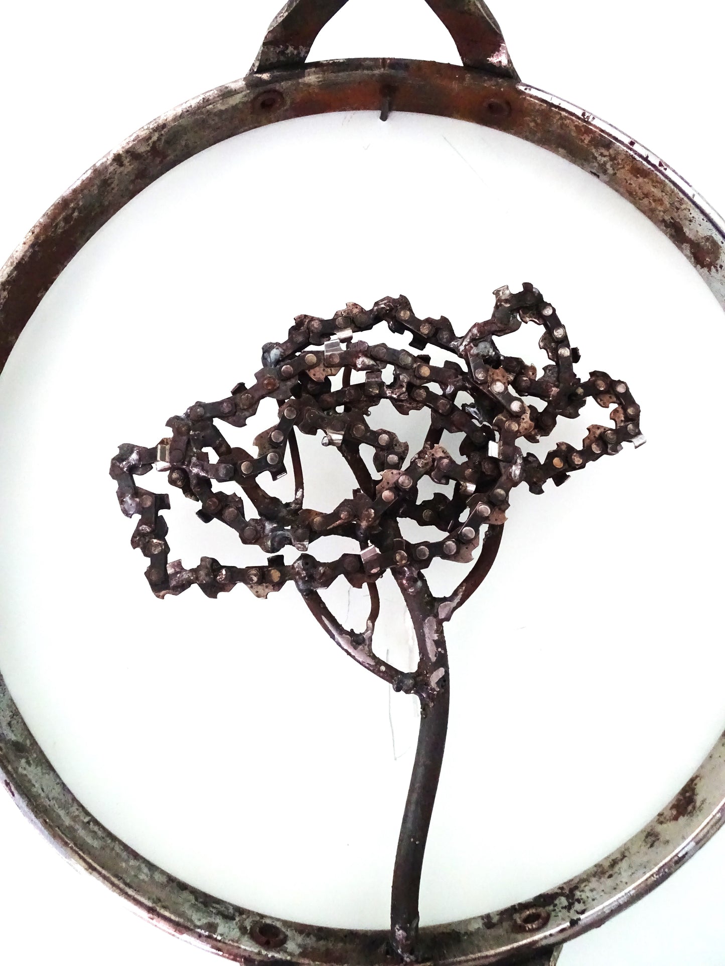 albero nel cerchio di tamburo
